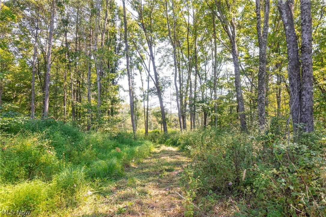 0 1 County Road 269 Glouster OH 43730