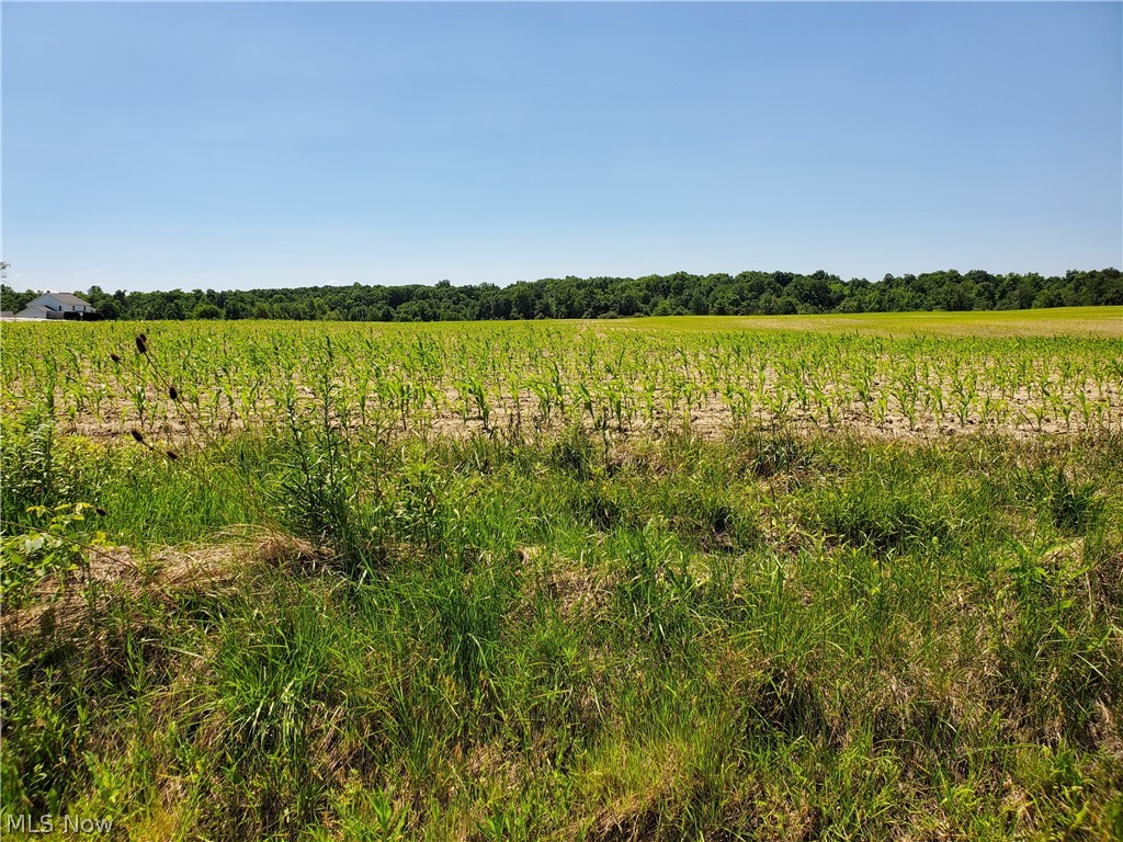 Parcel C Nash Road Middlefield OH 44062