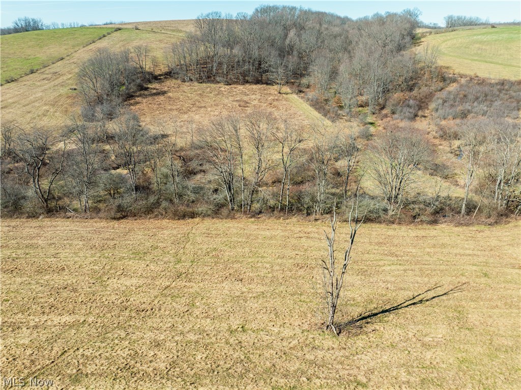 Eckley Road Jewett OH 43986
