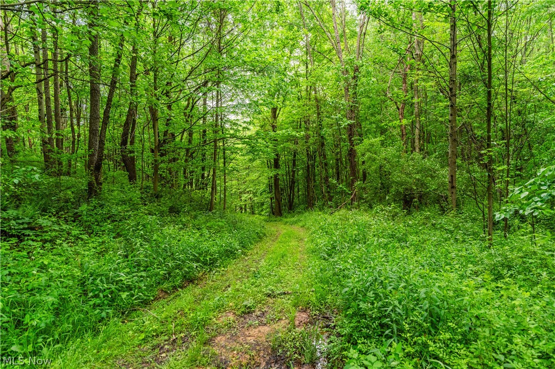 Edie Hill Road Uhrichsville OH 44683