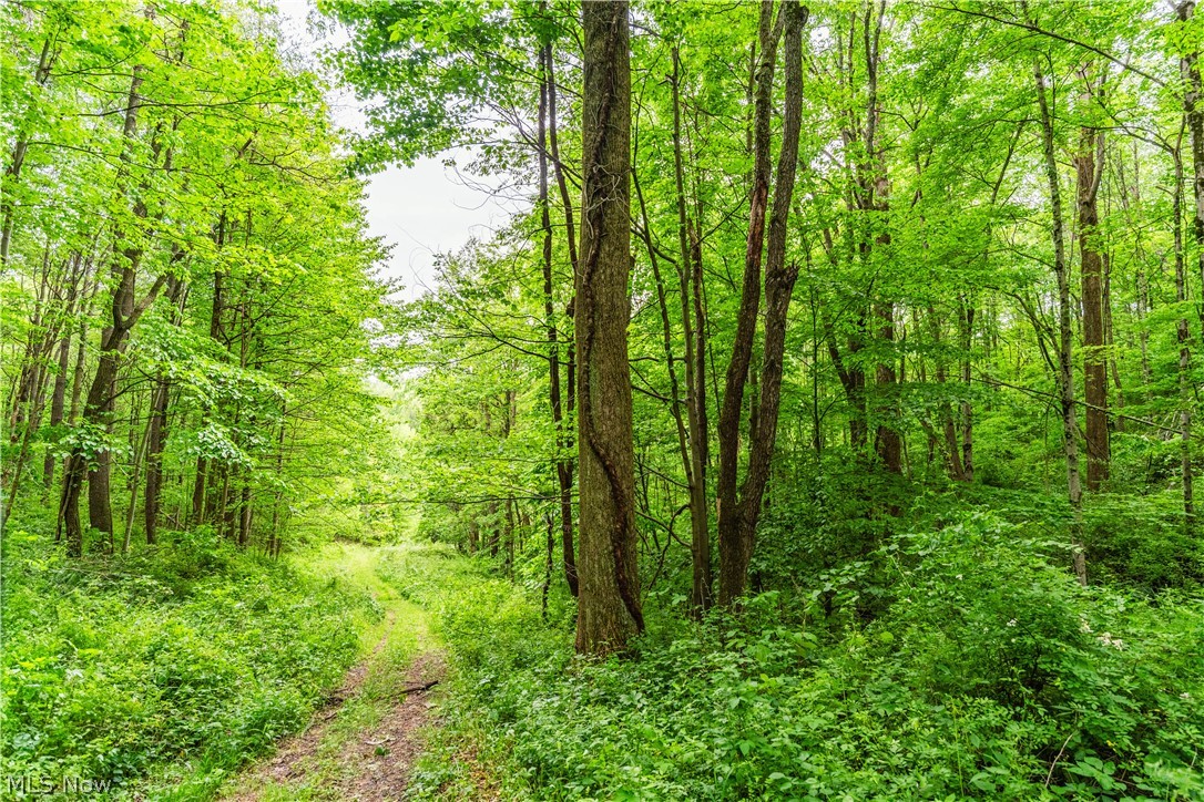 Edie Hill Road Uhrichsville OH 44683