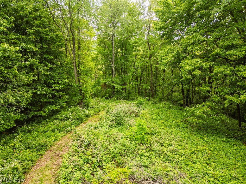 Edie Hill Road Uhrichsville OH 44683