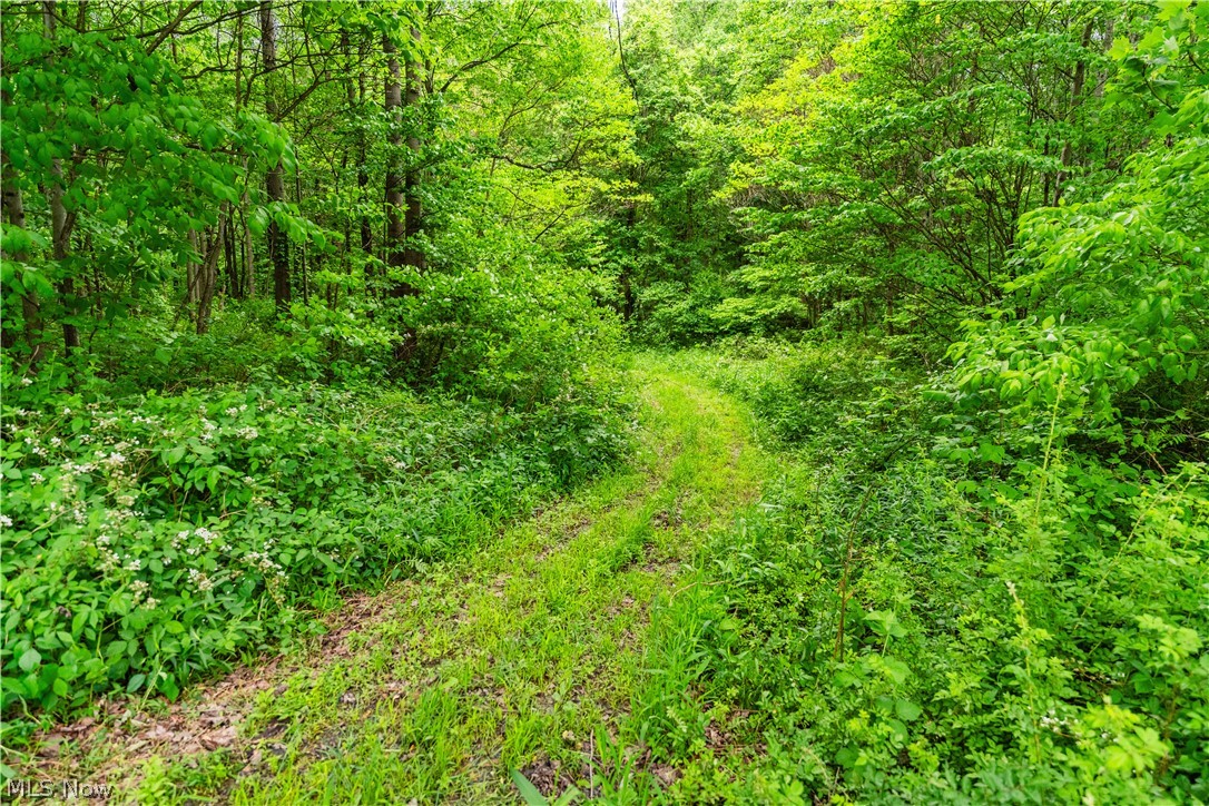 Edie Hill Road Uhrichsville OH 44683