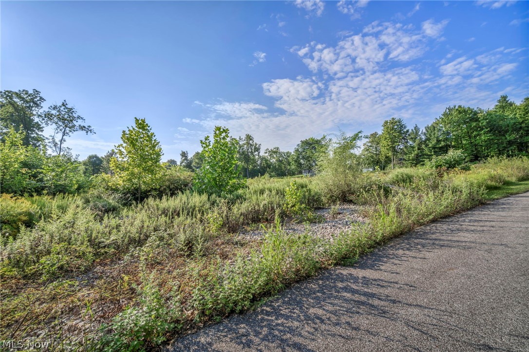 6610 E Wallings Road Brecksville OH 44141