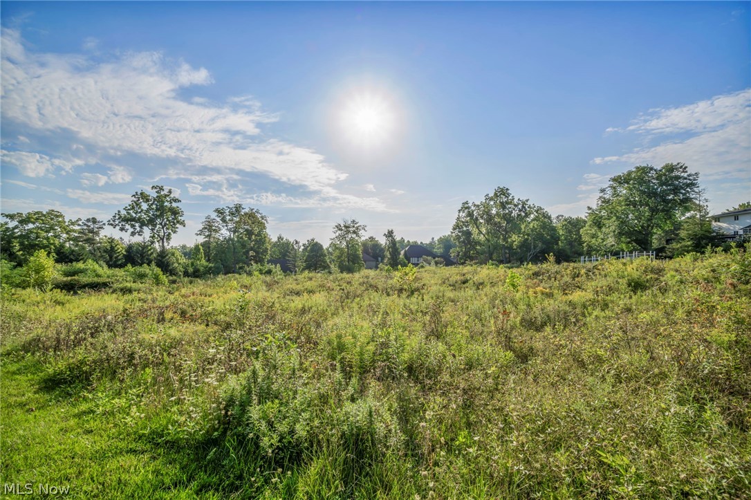 6610 E Wallings Road Brecksville OH 44141