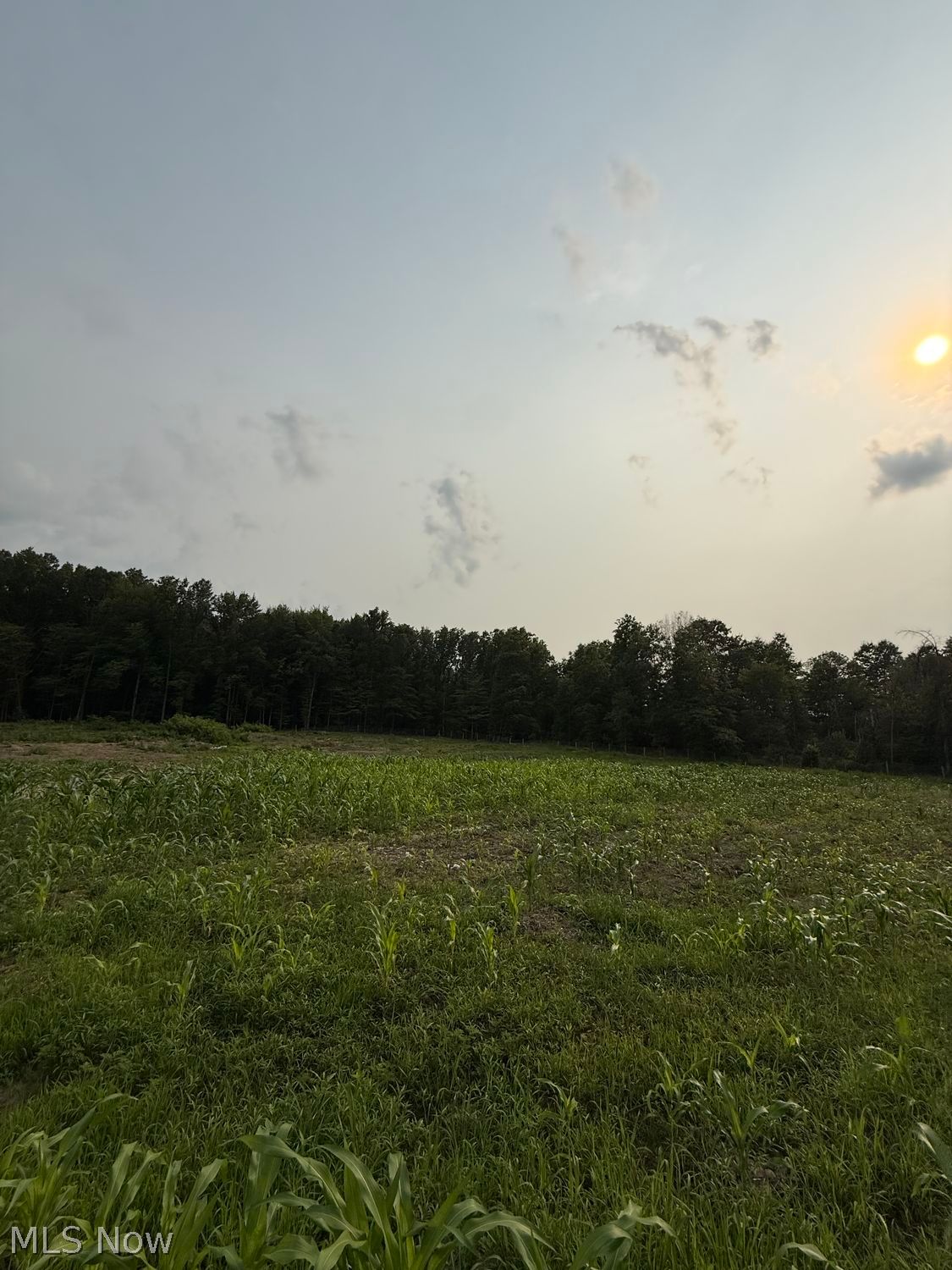 9714 Cable Line Road Diamond OH 44412
