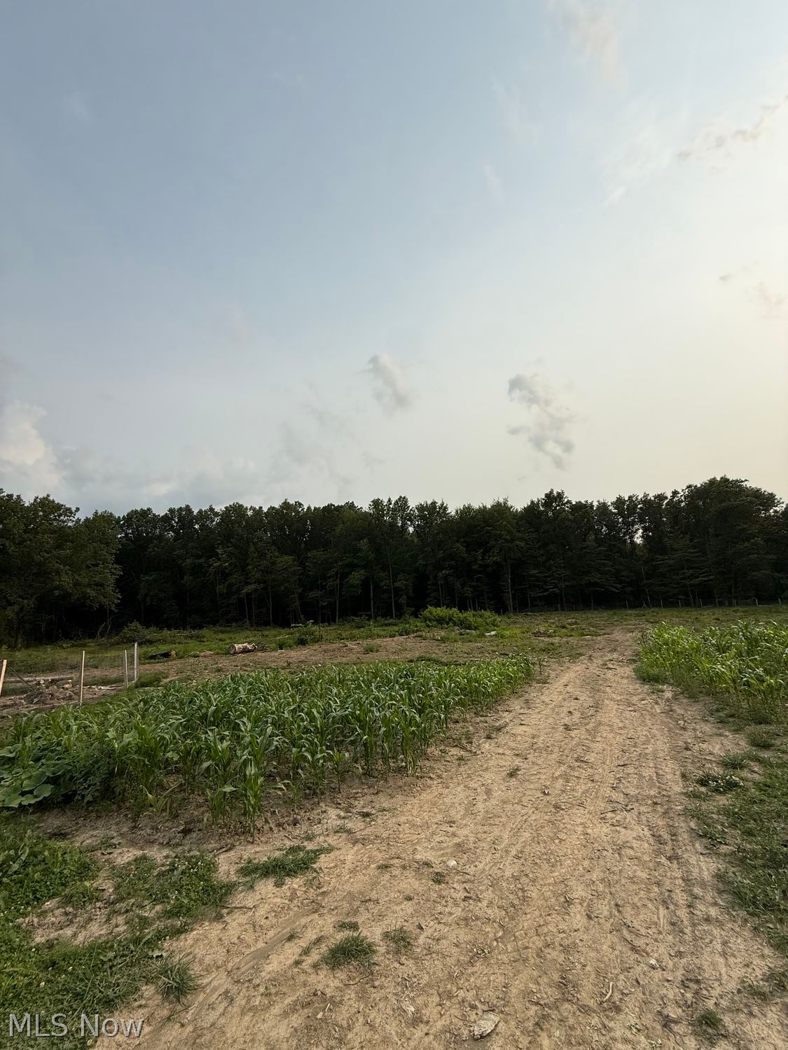 9714 Cable Line Road Diamond OH 44412