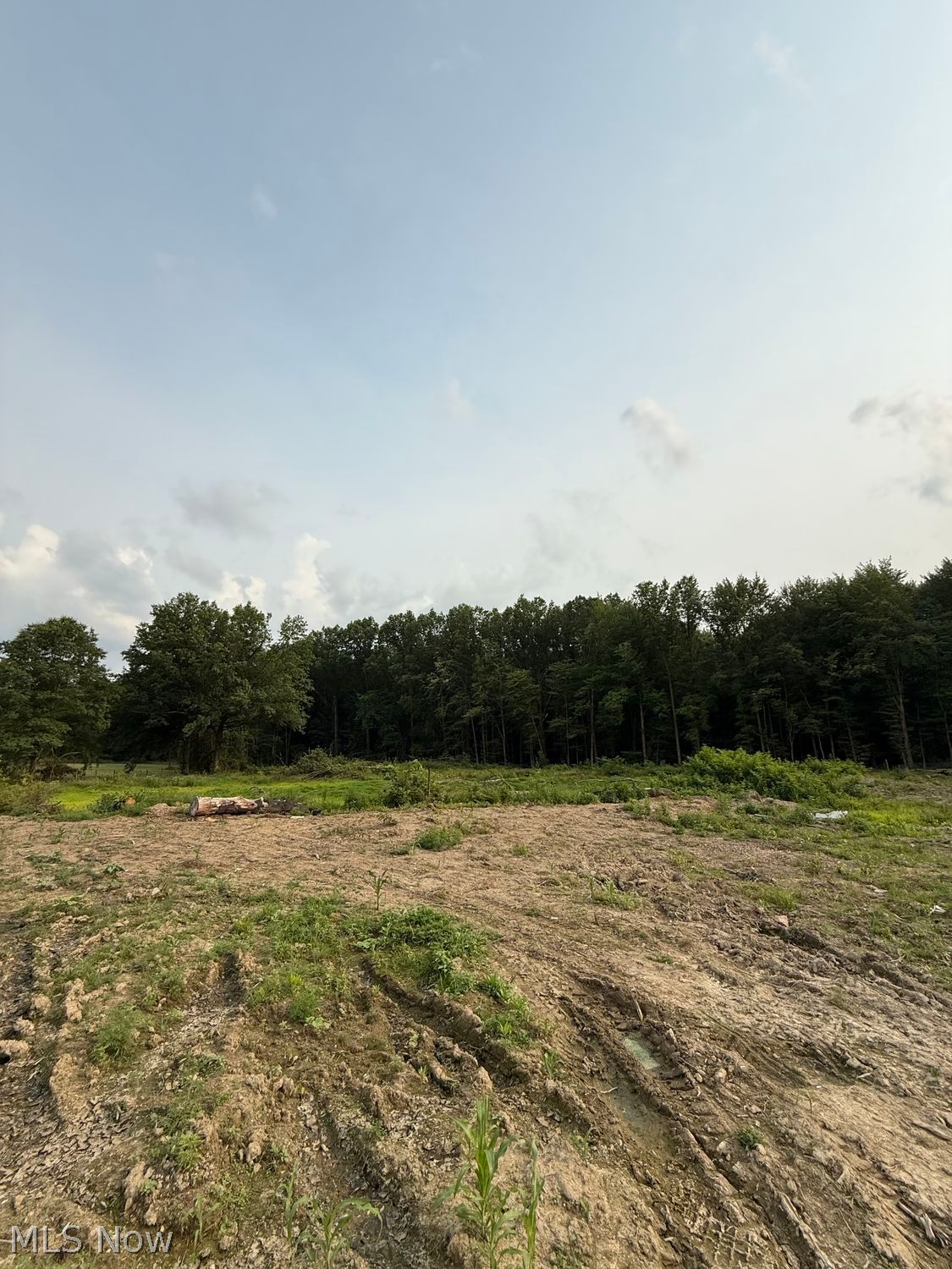 9714 Cable Line Road Diamond OH 44412