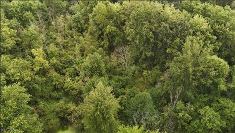 37 Buffham Road Seville OH 44273