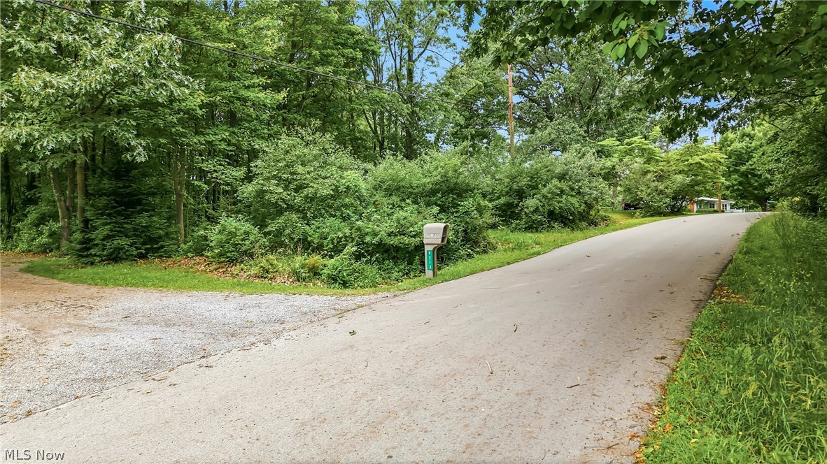 Tomahawk Drive Negley OH 44441