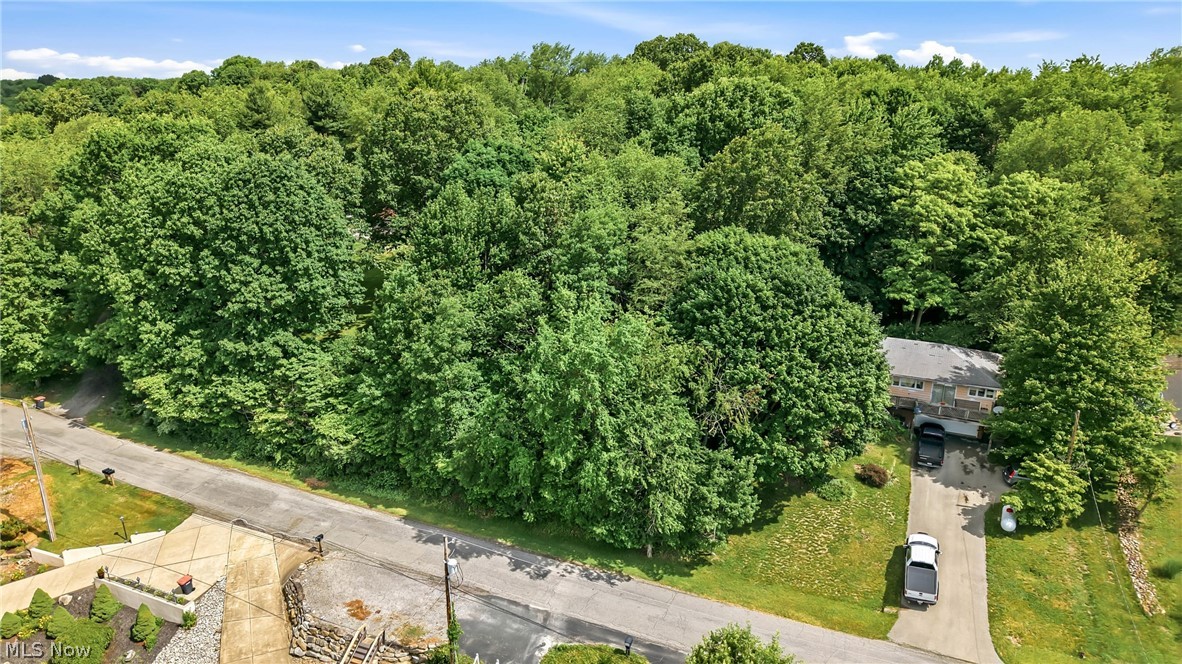 Tomahawk Drive Negley OH 44441