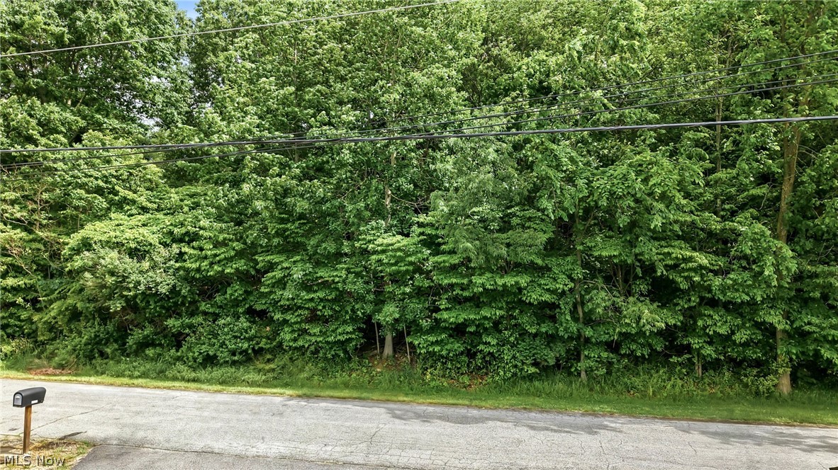 Tomahawk Drive Negley OH 44441