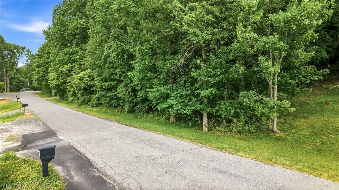 Tomahawk Drive Negley OH 44441