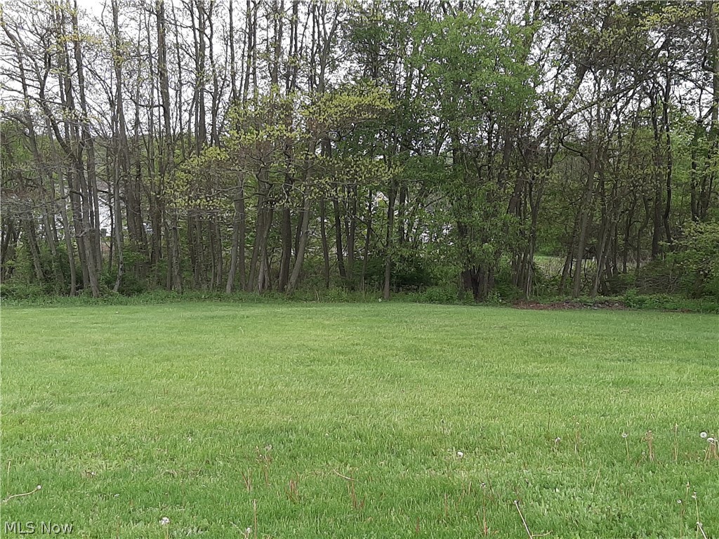 6 Hamilton Avenue NE Canton OH 44704