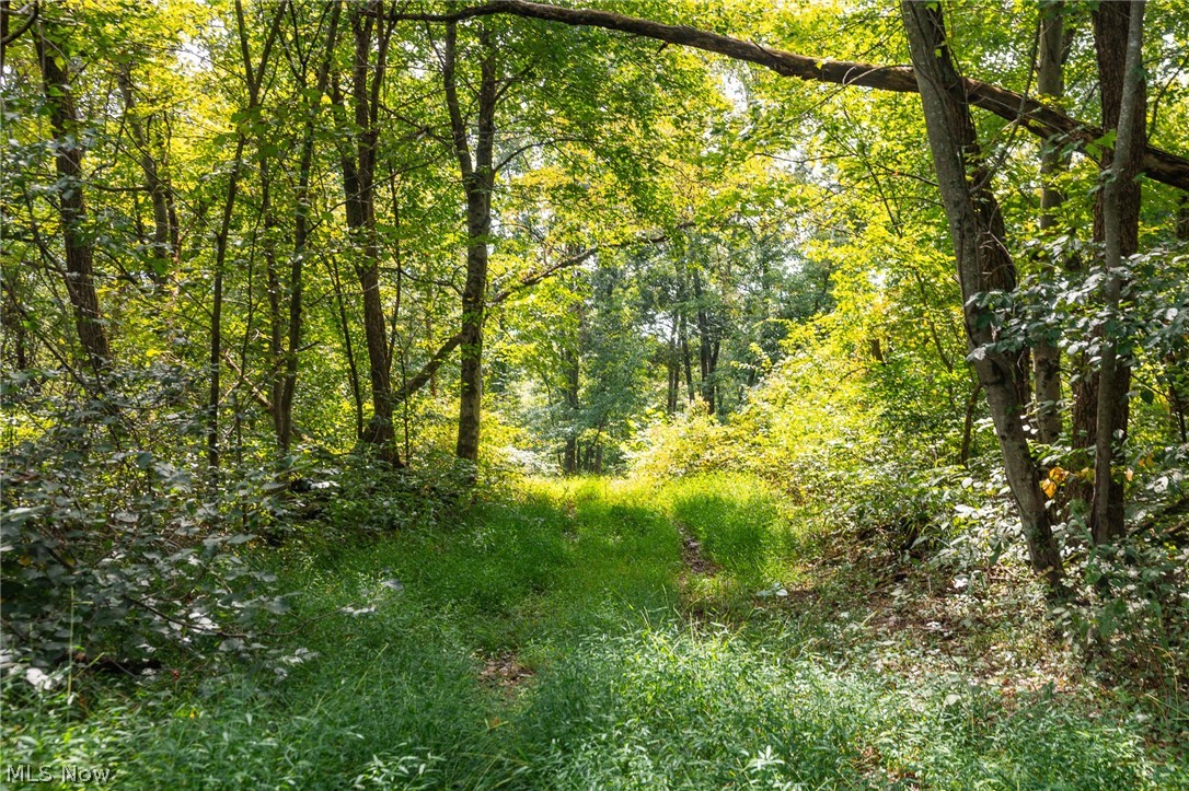 27339 Tabor Ridge Road Caldwell OH 43724