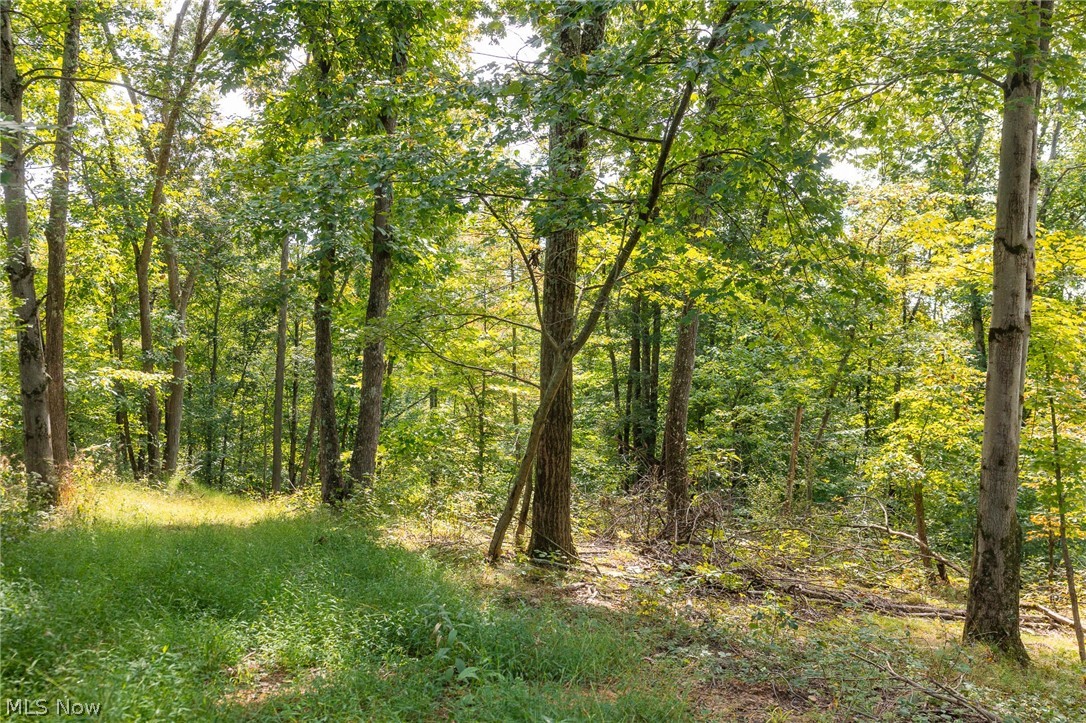 27339 Tabor Ridge Road Caldwell OH 43724