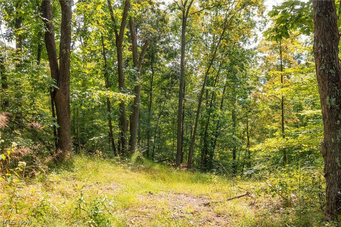 27339 Tabor Ridge Road Caldwell OH 43724
