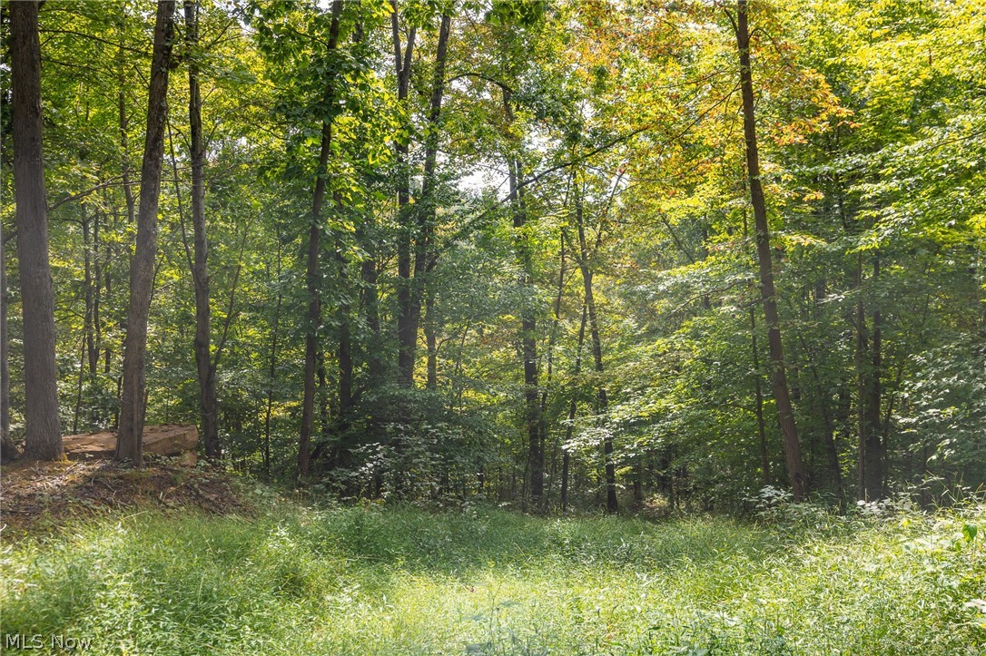 27339 Tabor Ridge Road Caldwell OH 43724