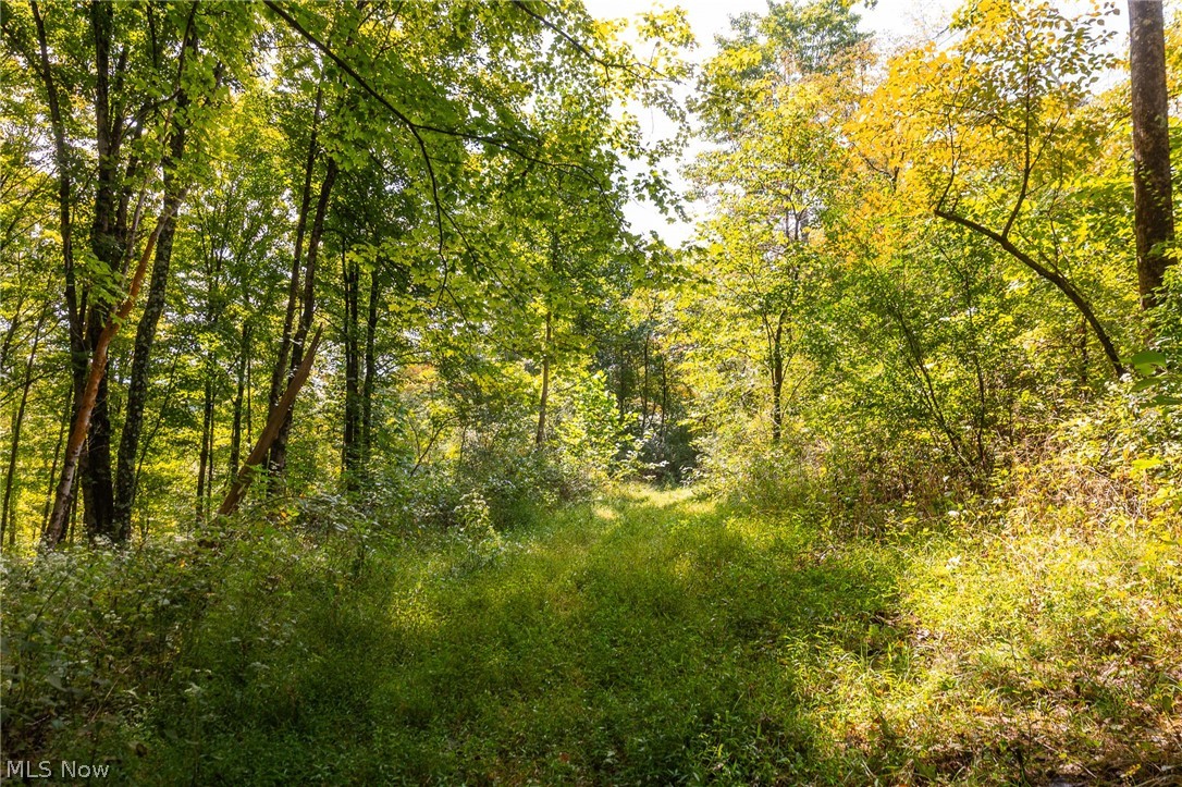 27339 Tabor Ridge Road Caldwell OH 43724