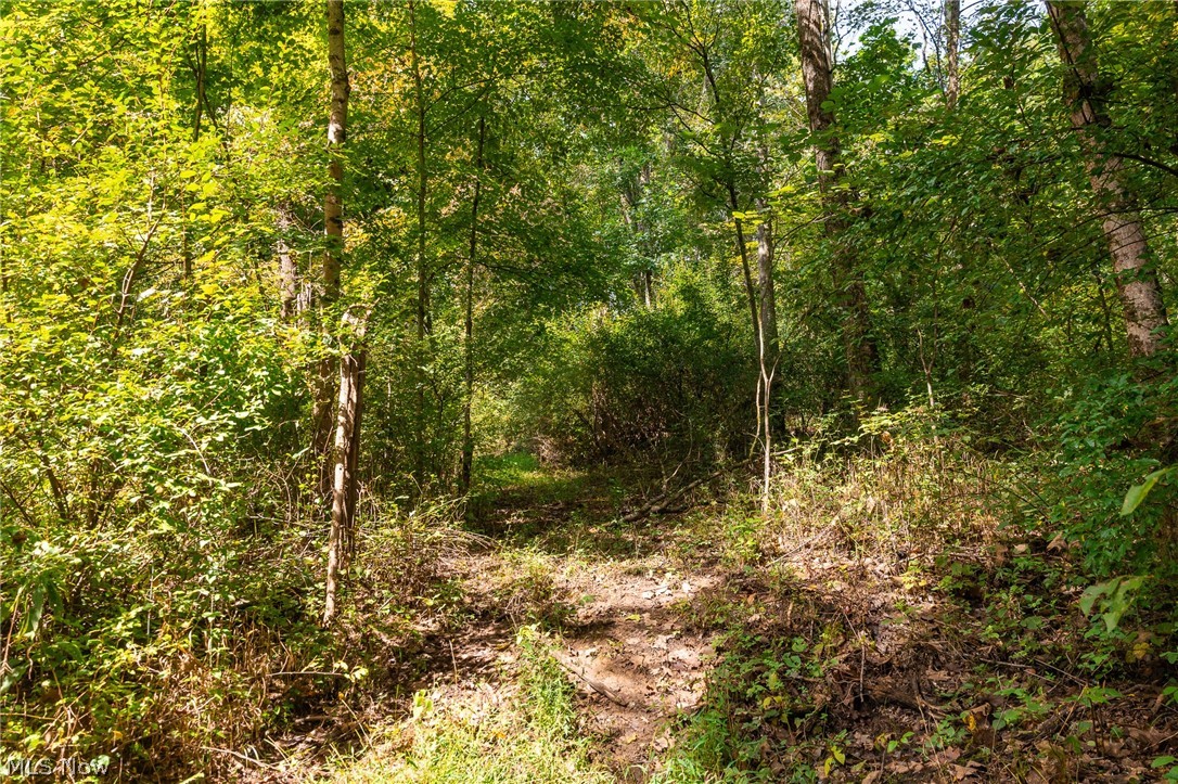 27339 Tabor Ridge Road Caldwell OH 43724