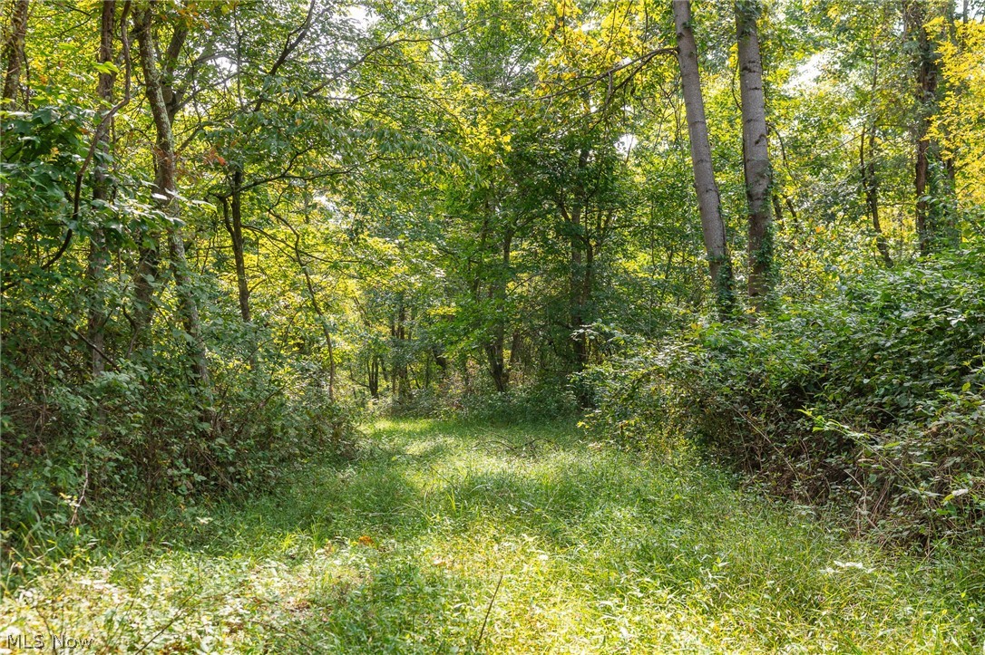 27339 Tabor Ridge Road Caldwell OH 43724