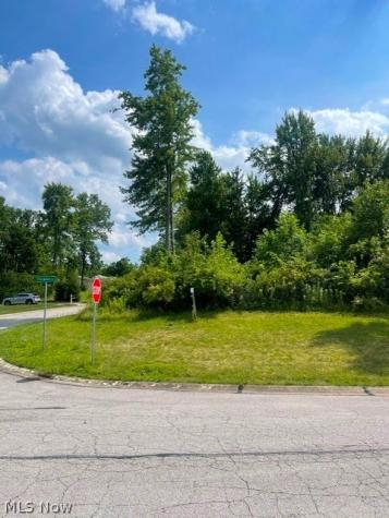 22 Foxwood Circle Wakeman OH 44889