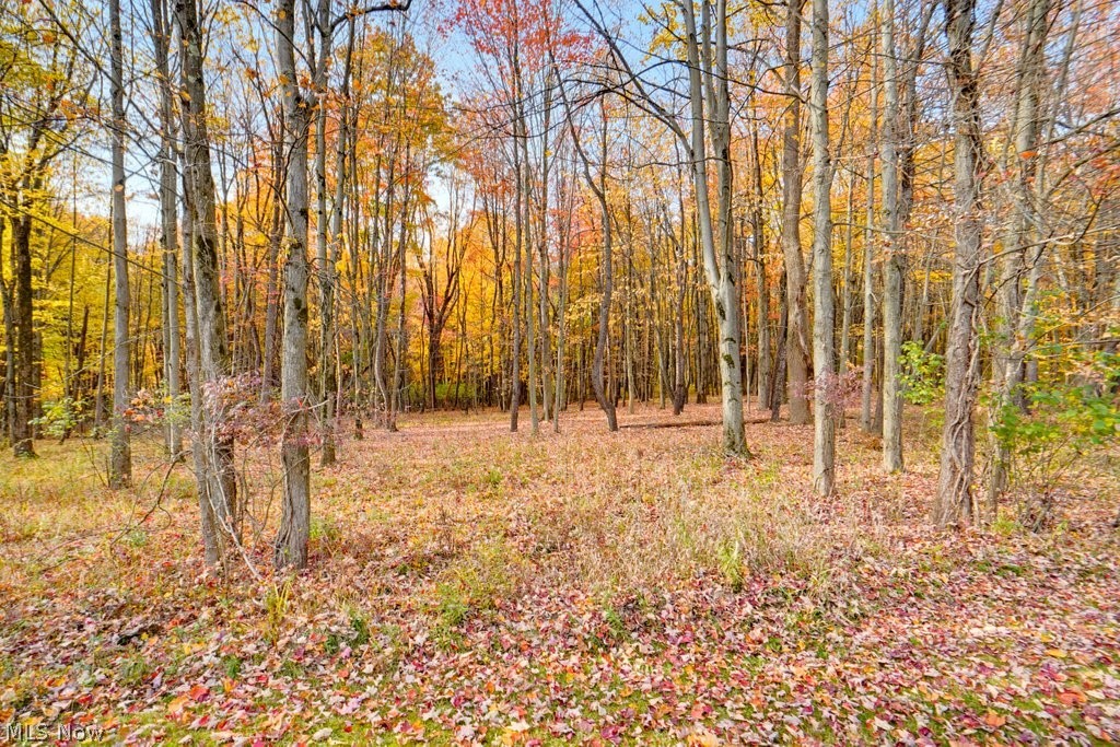 Bell Road Chagrin Falls OH 44022