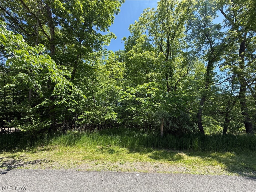 66 Delaware Trail Malvern OH 44644