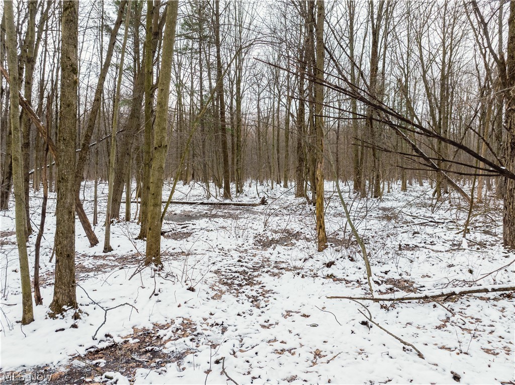 Slater Road Williamsfield OH 44093