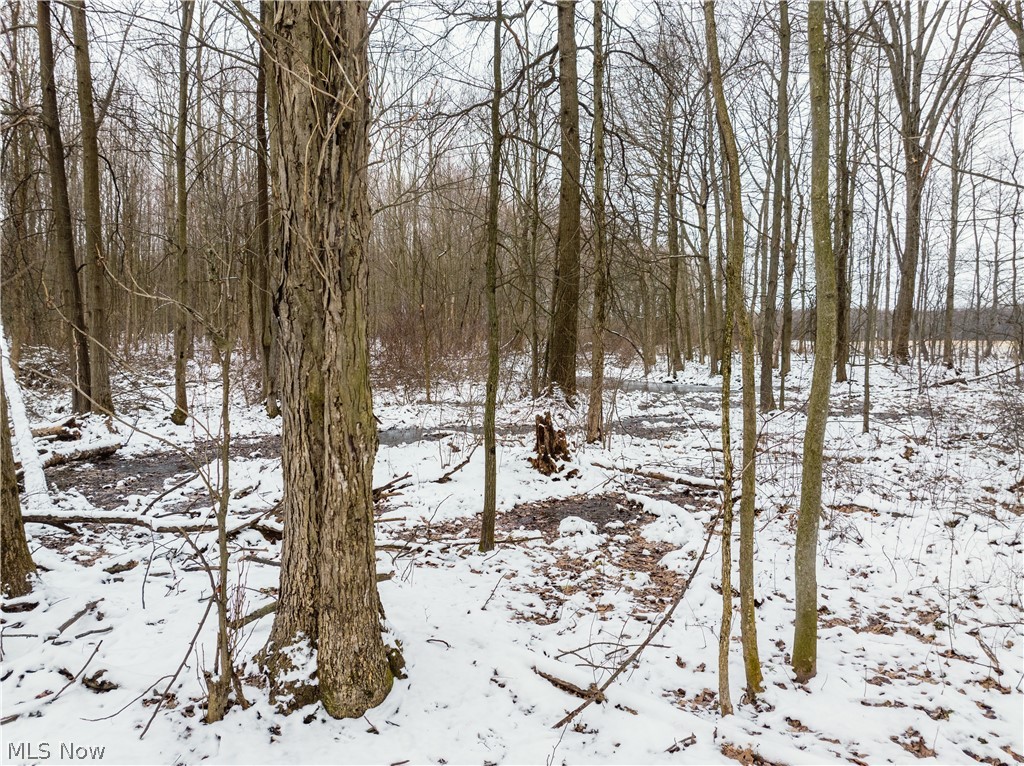 Slater Road Williamsfield OH 44093