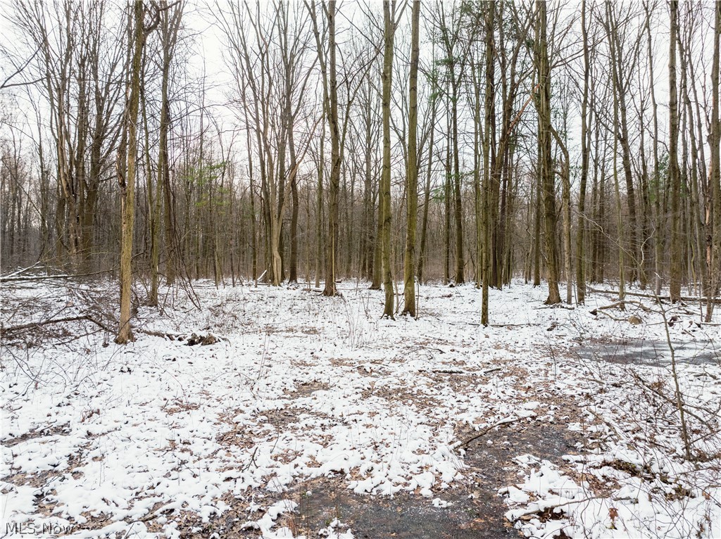 Slater Road Williamsfield OH 44093