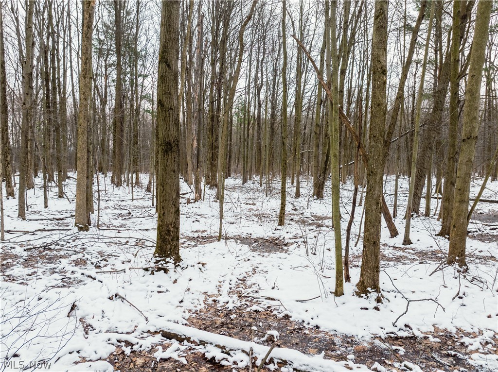 Slater Road Williamsfield OH 44093