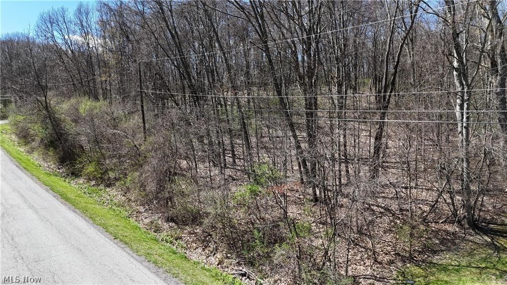 47044 & 47054 Tomahawk Drive Negley OH 44441