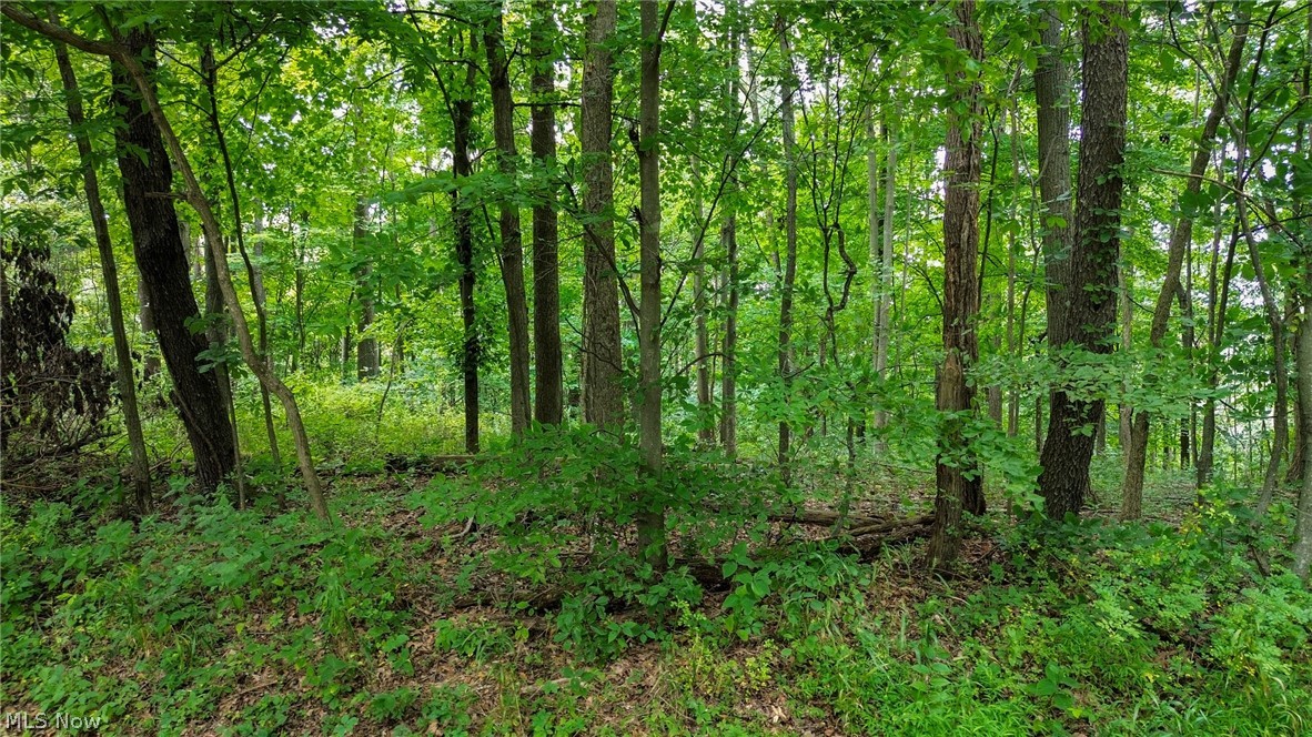 Windy Ridge Dennison OH 44621