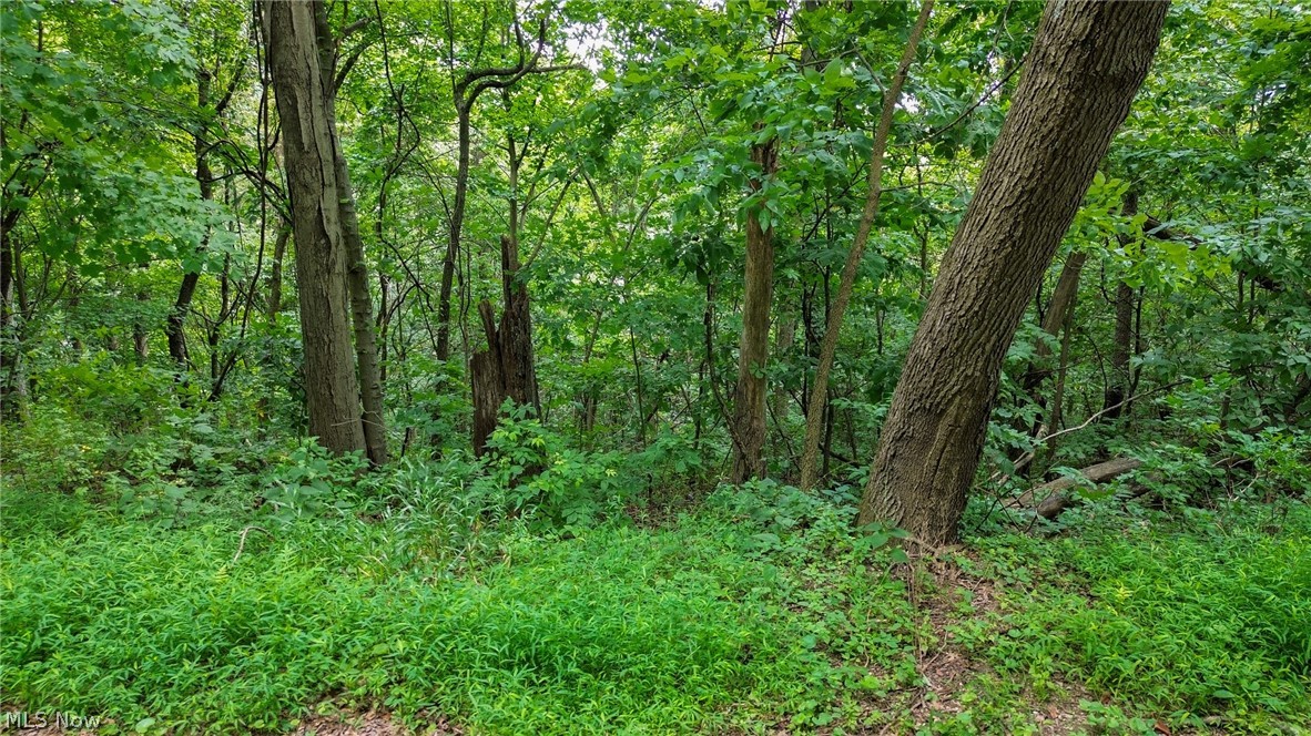 Windy Ridge Dennison OH 44621