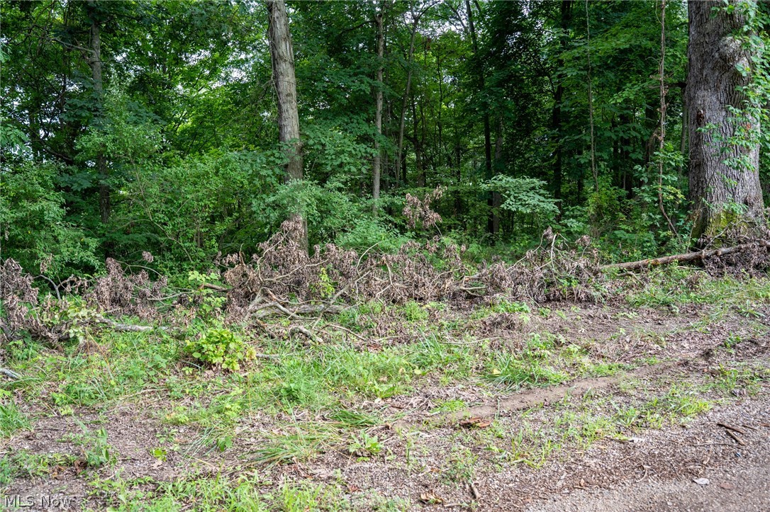 Windy Ridge Dennison OH 44621