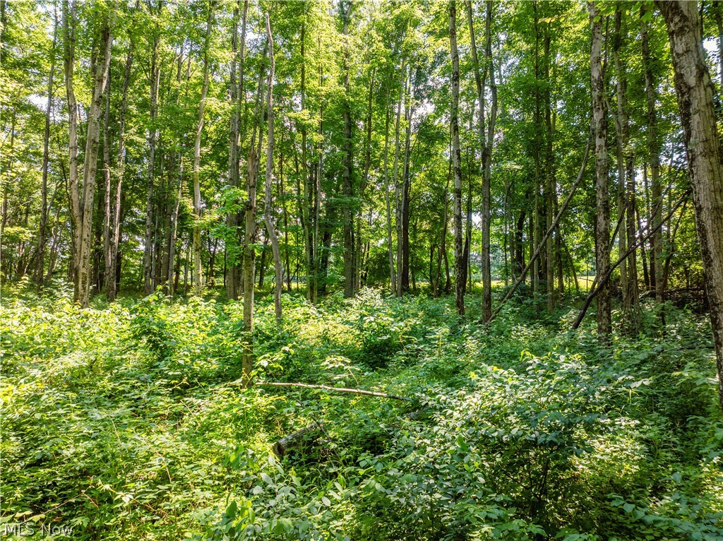 Lot 14 Township Road 51 Somerset OH 43783