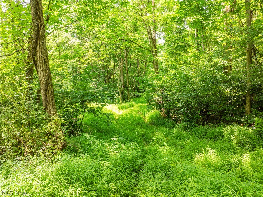 Lot 14 Township Road 51 Somerset OH 43783