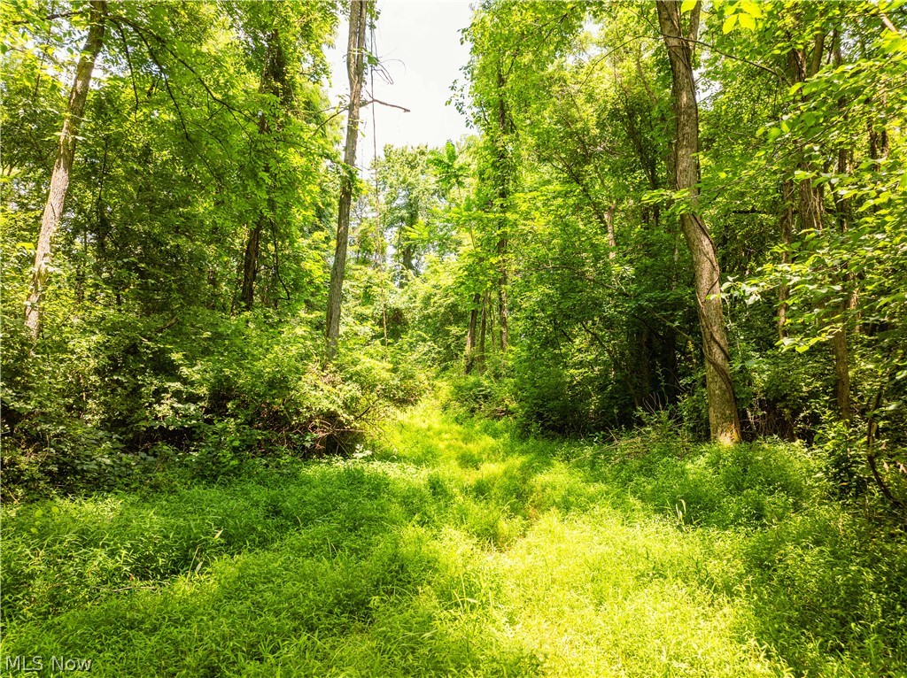 Lot 14 Township Road 51 Somerset OH 43783