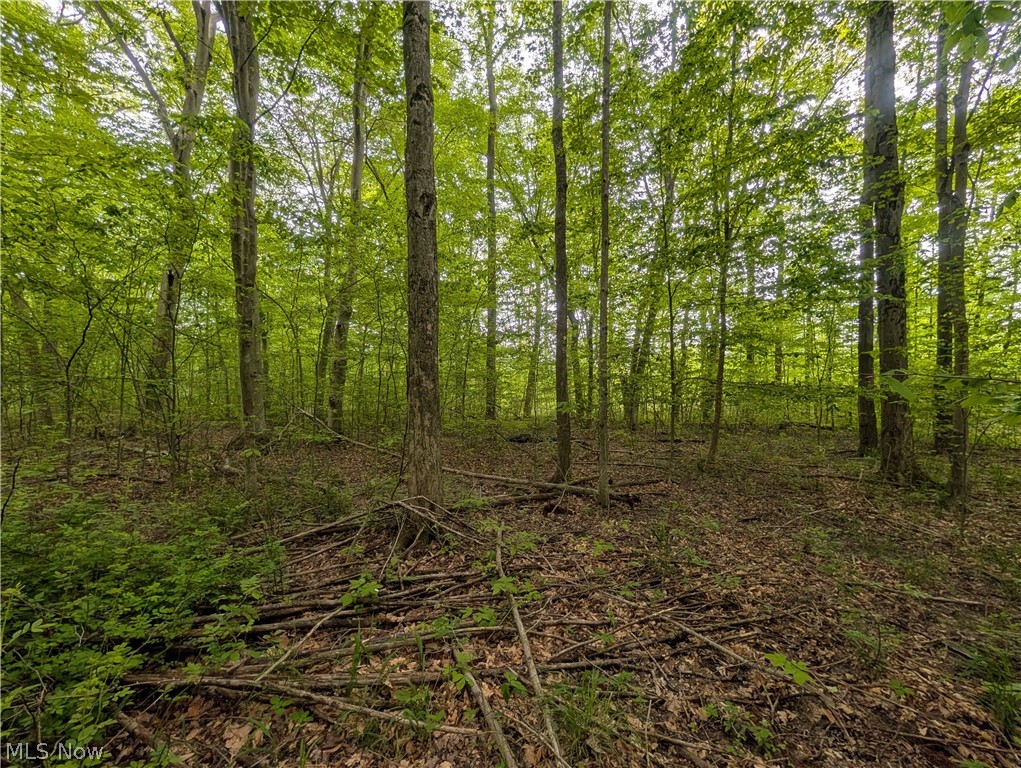 W Western Reserve Road Canfield OH 44406