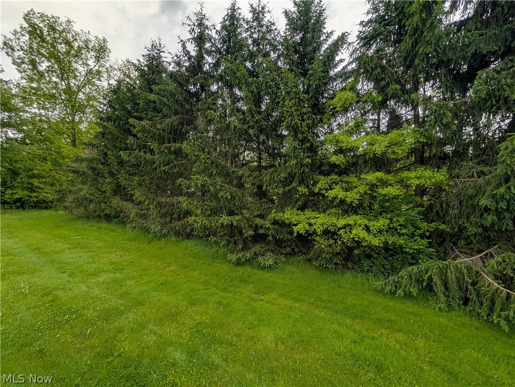 W Western Reserve Road Canfield OH 44406