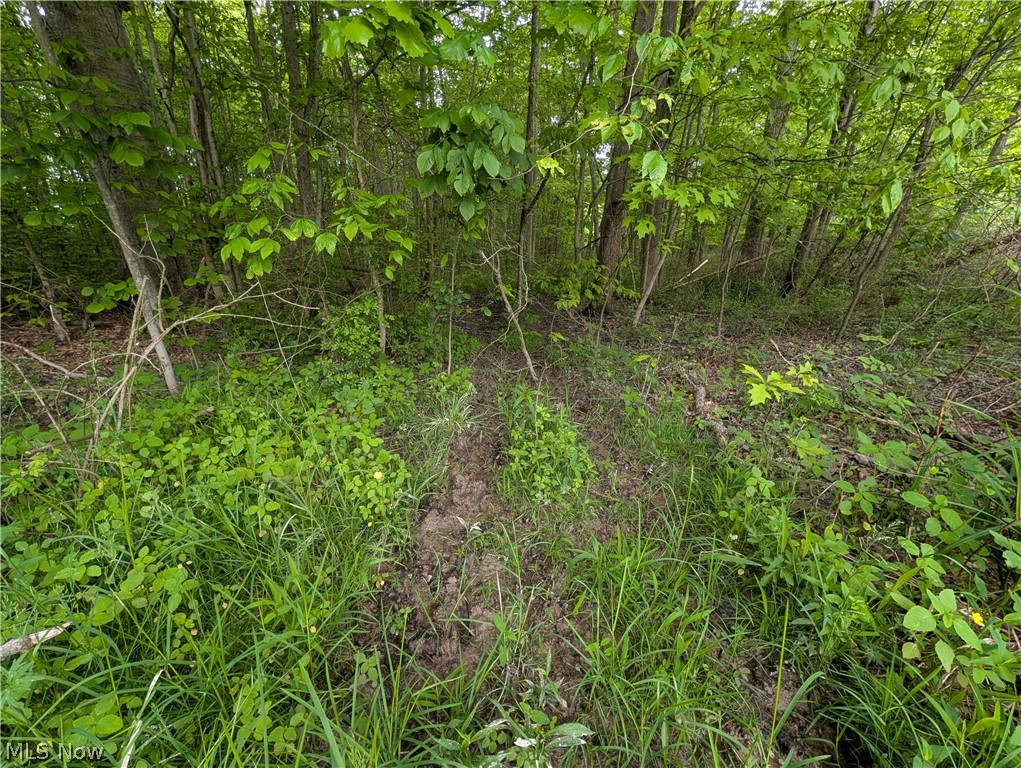 W Western Reserve Road Canfield OH 44406