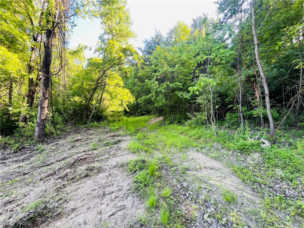 Parks Avenue SE East Canton OH 44730