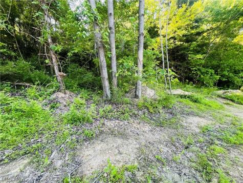 Parks Avenue SE East Canton OH 44730
