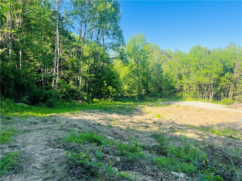 Parks Avenue SE East Canton OH 44730