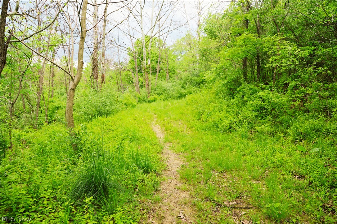 Morganville Rd Road Corning OH 43730
