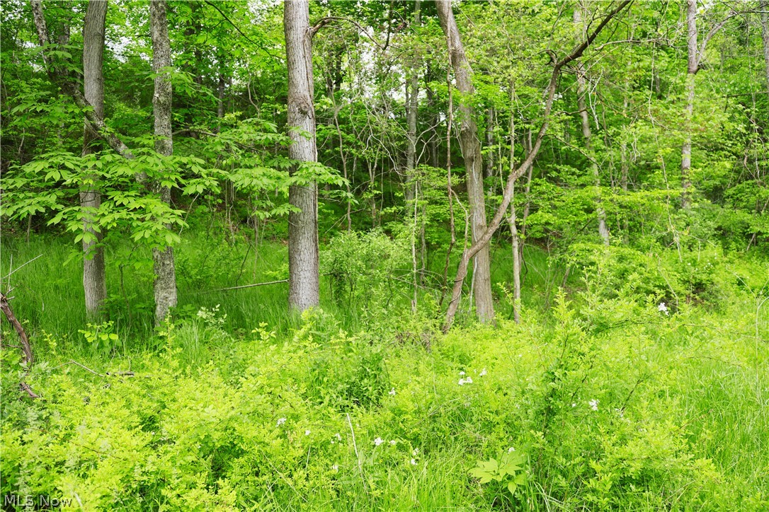 Morganville Rd Road Corning OH 43730