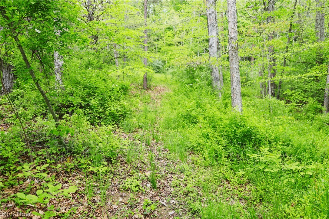 Morganville Rd Road Corning OH 43730