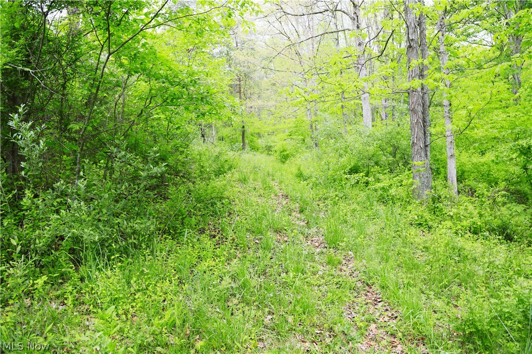 Morganville Rd Road Corning OH 43730