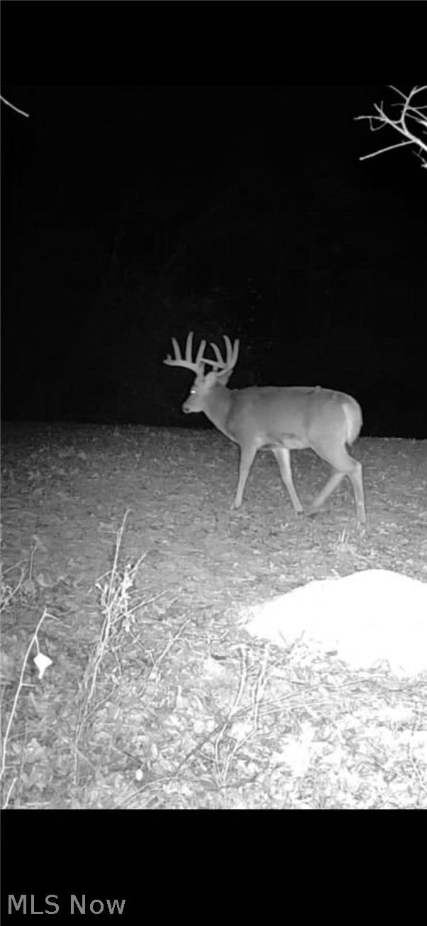 Morganville Rd Road Corning OH 43730